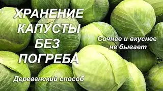 Хранение капусты без погреба. Деревенский способ.