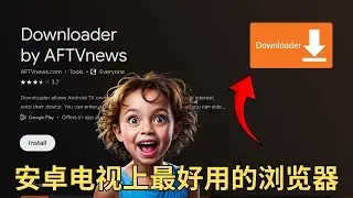 安卓电视上最好用的浏览器Downloader