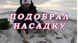 Нашёл КЛЮЧИК К КРУПНОЙ ПЛОТВЕ! Крупная насадка РЕШАЕТ ПОКЛЁВКУ! Считаю мотыля на крючке!