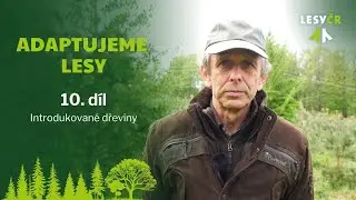 Adaptujeme lesy - 10. díl