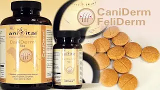 aniVital CaniDerm | FeliDerm – немецкие комплексы для кожи и шерсти собак и кошек