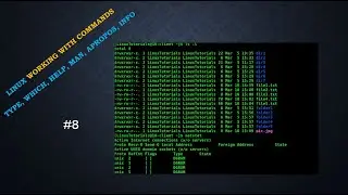 Linux | Working with Commands (type, which, help, man, apropos, whatis)
