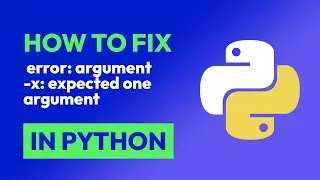 How to fix  error: argument -x: expected one argument in Python