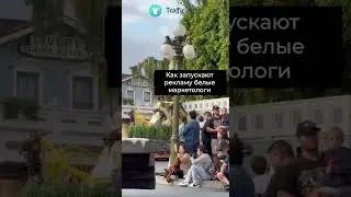 Арбитраж трафика VS белое рекламное агентство #trafficlight #digital #мемы