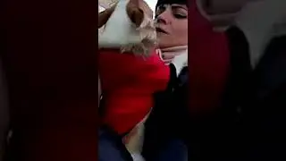 Bunny meets mom from work