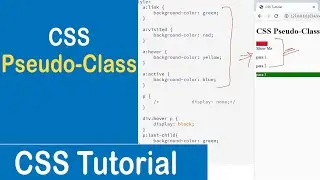 #31 CSS Pseudo-Class | Link | Visited | Hover | Active | CSS Tutorial