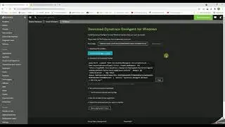 2 Installing Dynatrace Agent on Windows