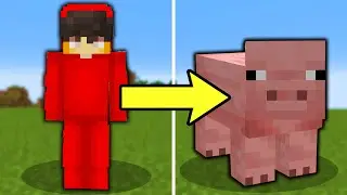 I Pranked My Friend With The Morph Mod! (Minecraft)