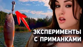 Как рыба реагирует на необычные приманки? Рыбалка на спиннинг осенью на озере. Рыбалка в Тюмени.