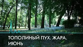 Феномен летнего Санкт-Петербурга