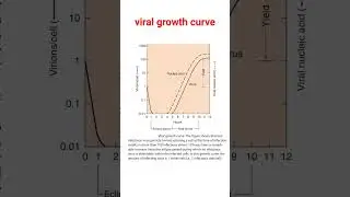 viral growth curve 