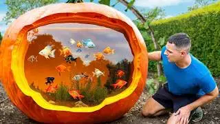 I Turned A Giant Pumpkin Into A Fish Aquarium