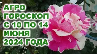 Агрогороскоп с 10 по 14 июня 2024 года Agrohoroscope from June 10 to June 14, 2024