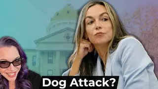 Karen Read - Daubert Hearing Summary - Was There A Dog Attack?