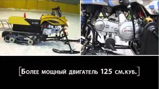 Мини снегоход Irbis Dingo T125