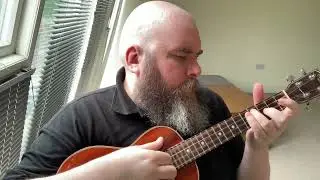 Do You Realize?? (The Flaming Lips Ukulele Cover)