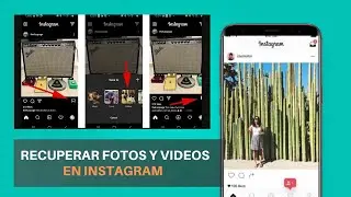 COMO RECUPERAR FOTOS Y VIDEOS ELIMINADOS EN INSTAGRAM