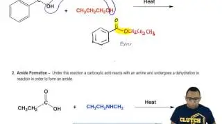 Understanding Carboxylic Acid Derivative Reactions