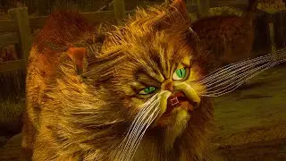 Милые котики - необычные котики и где они обитают ➤ Hogwarts Legacy