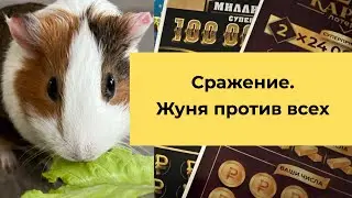Все или ничего сражение. Жунька