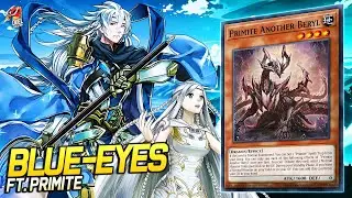 Deck Blue-Eyes Primite EDOPRO | Replays 🎮 + Decklist ✔️