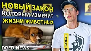 Новый закон о защите животных | Цирки с животными запрещены?! | DRED NEWS