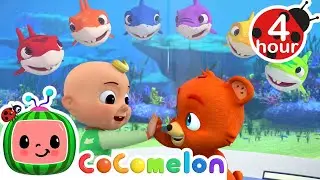 Learning Colors With Baby Shark + More | Cocomelon - Nursery Rhymes | Fun Cartoons For Kids