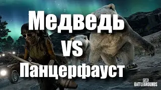 ЧТО СИЛЬНЕЕ МЕДВЕДЬ ИЛИ ПАНЦЕРФАУСТ PUBG top moments #pubg #пубг #3SimpleGame3