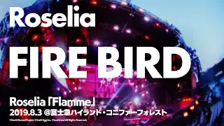 【公式ライブ映像】Roselia「FIRE BIRD」【期間限定】