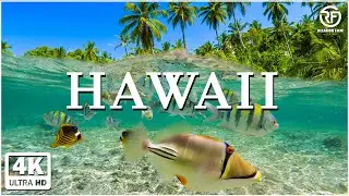 Hawaii 4K 🌿 Scenic Relaxation Film With Calming Music 🌿 4K Video Ultra HD