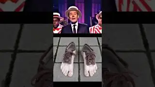 Бархатные тяги 