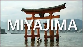 Japan's Island of the Gods, Miyajima | japan-guide.com