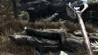 Let Sleeping Wolves Lie Skyrim