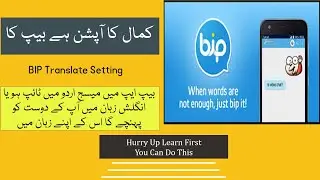 BIP Application Translate Setting / Auto Translate SMS In BIP Application