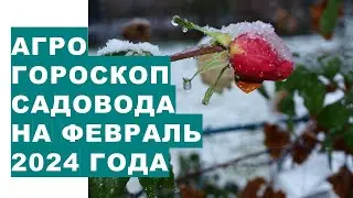 Gardener's agrohoroscope for February 2024