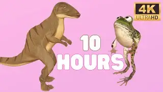 Dinosaur and Frog Dancing 10 Hours