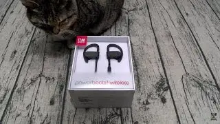 Powerbeats 3 Wireless In-Ear Headphones