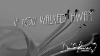 David Pomeranz + If You Walked Away + Lyrics / HD