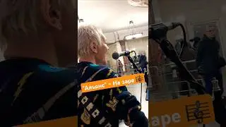 Музыкант Алиса Димитриади исполняет песню 