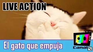 EL GATO QUE EMPUJA LIVE ACTION (Imitadores de 31 minutos)