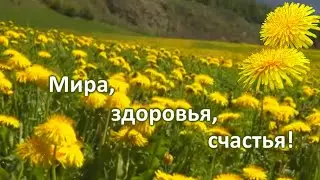 Чудесный месяц май! Всем жителям Земли - Мира! Здоровья! Счастья!