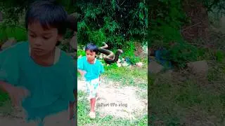 Real anaconda se Bach gayi pari 🐍😪 #shorts #shortsfeed #emotional #villagelife #viralvideo #viral