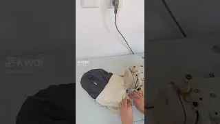 1 марта 2024 г.