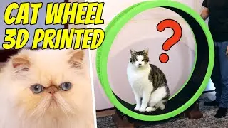 Cat Exercise Wheel OVER 500 Hours 3D Printed