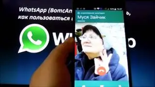 Как позвонить по ватсапу