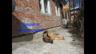 Вышел на улицу к Бэсте