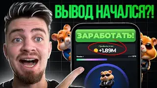 Как Забрать Деньги В Hamster Kombat! | Гайд Нового Фарма Blum | PixelVerse Новый Гем на 100х