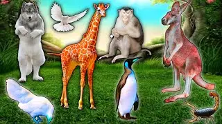 Funny Animal Sounds in 30 Minutes: Flamingo,Elephant,Panda, Fox, dog,cats,Rabbit - Animal videos