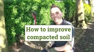 How to loosen & improve compacted soil