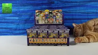 Molly x WB Warner Brothers Pop Mart Blind Box Figure Unboxing | CollectorCorner